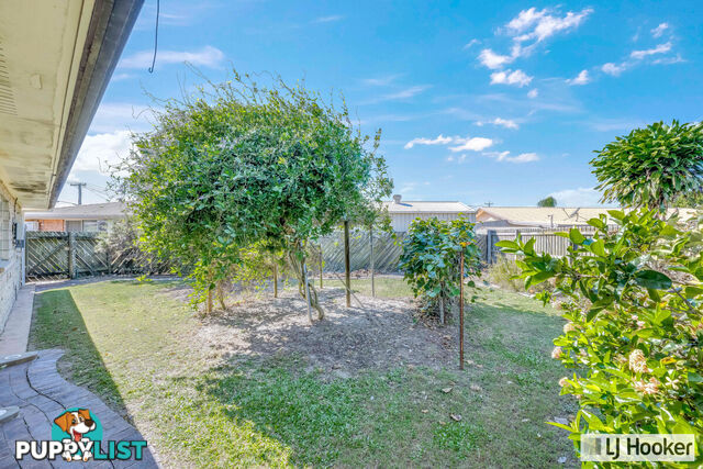 14 McNamara Street AVENELL HEIGHTS QLD 4670