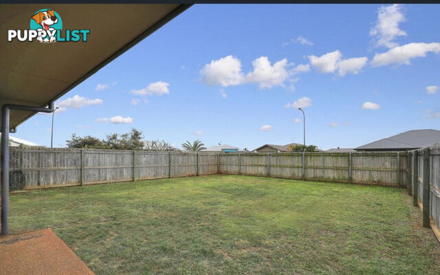 7 Tranquility Place BARGARA QLD 4670