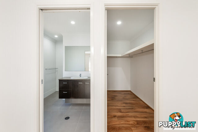9 Satinwood Court MOORE PARK BEACH QLD 4670