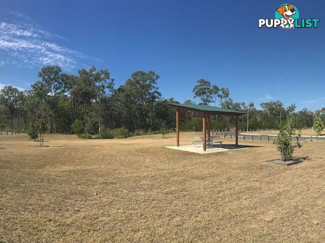 Lot 6 Branyan By The River BRANYAN QLD 4670