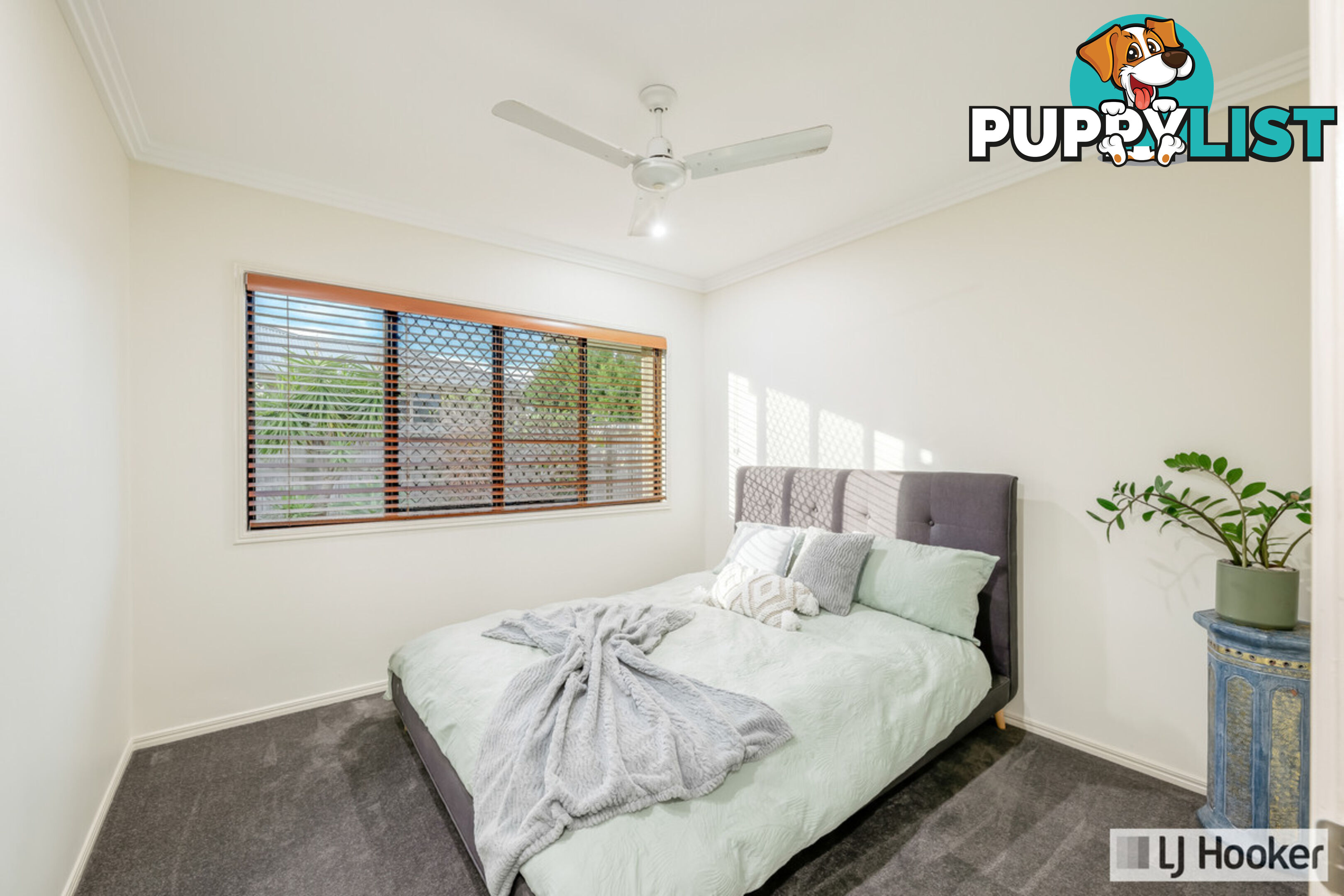 3 Davin Place CORAL COVE QLD 4670