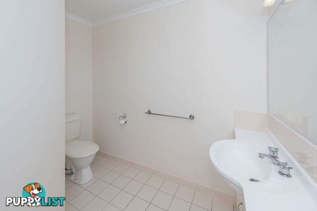 1/13 Robert Street BUNDABERG SOUTH QLD 4670