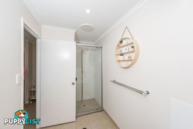 51 Robina Drive AVOCA QLD 4670