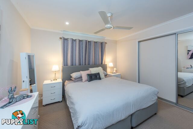 51 Robina Drive AVOCA QLD 4670