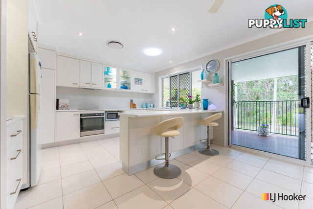 8 Inspiration Court AVOCA QLD 4670