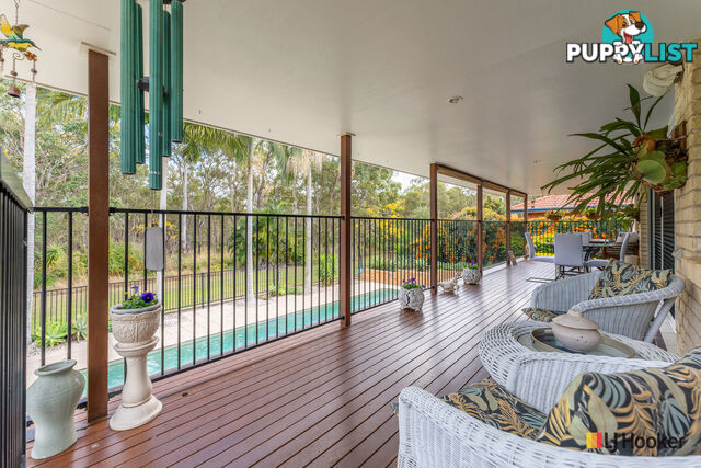 8 Inspiration Court AVOCA QLD 4670