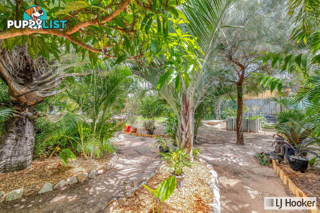 56 Acacia Street MOORE PARK BEACH QLD 4670