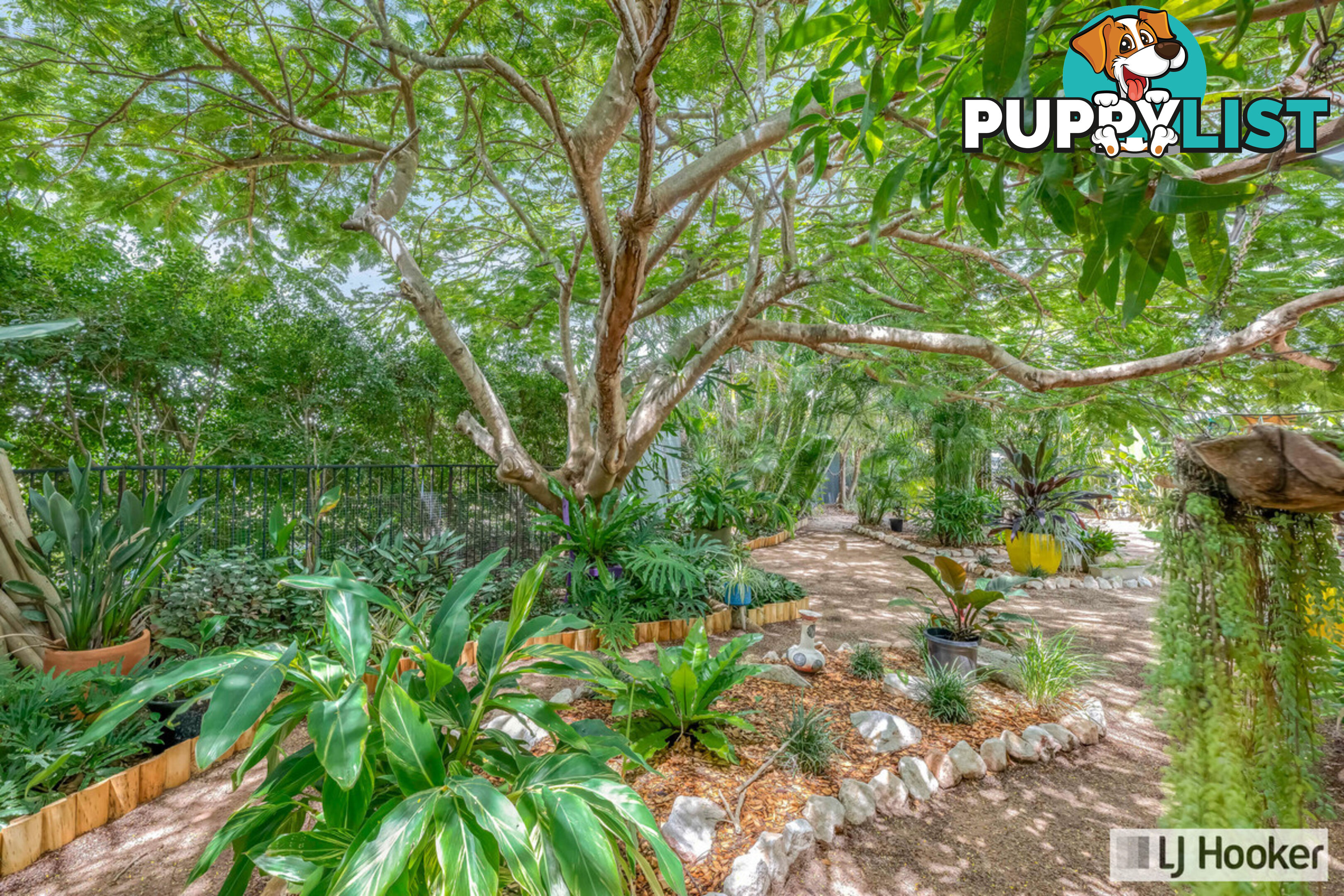 56 Acacia Street MOORE PARK BEACH QLD 4670