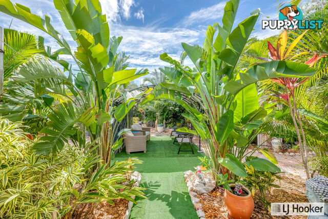 56 Acacia Street MOORE PARK BEACH QLD 4670