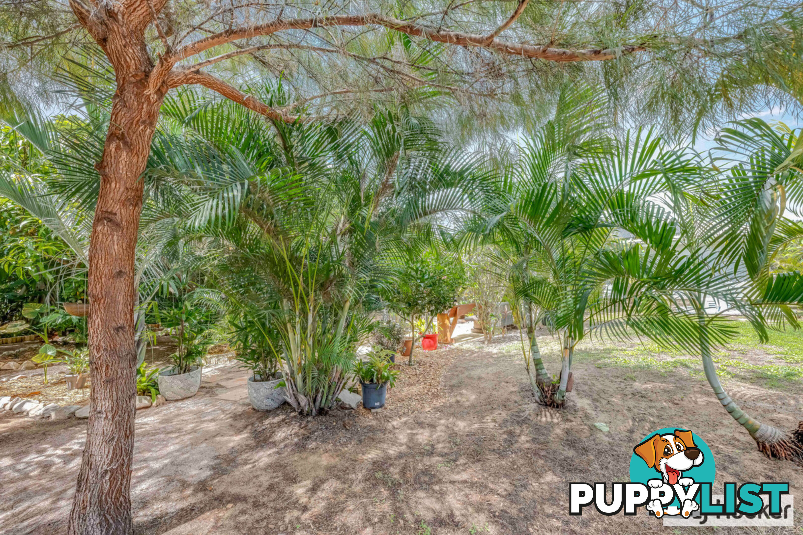 56 Acacia Street MOORE PARK BEACH QLD 4670