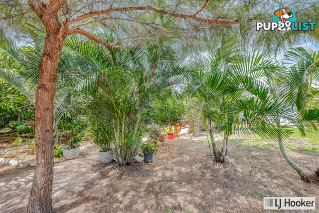 56 Acacia Street MOORE PARK BEACH QLD 4670