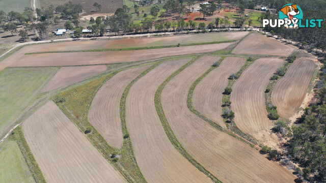 AVONDALE QLD 4670