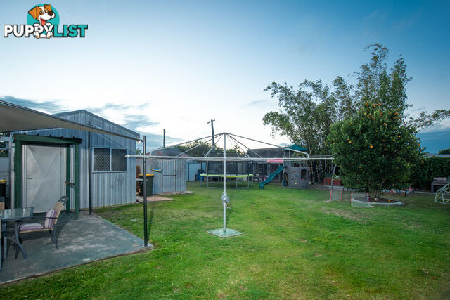 11a Tarakan Street SVENSSON HEIGHTS QLD 4670