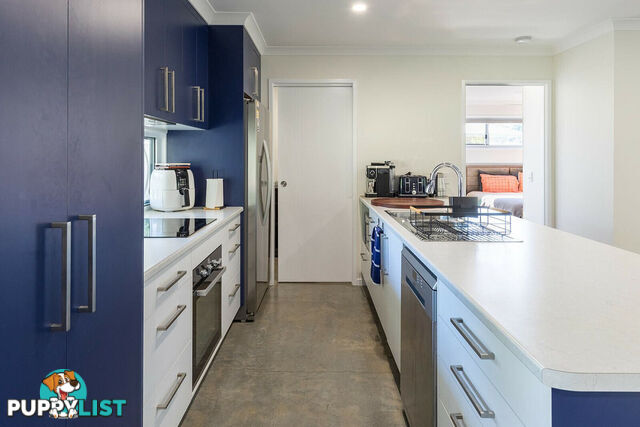 1 Castle Court MOORE PARK BEACH QLD 4670