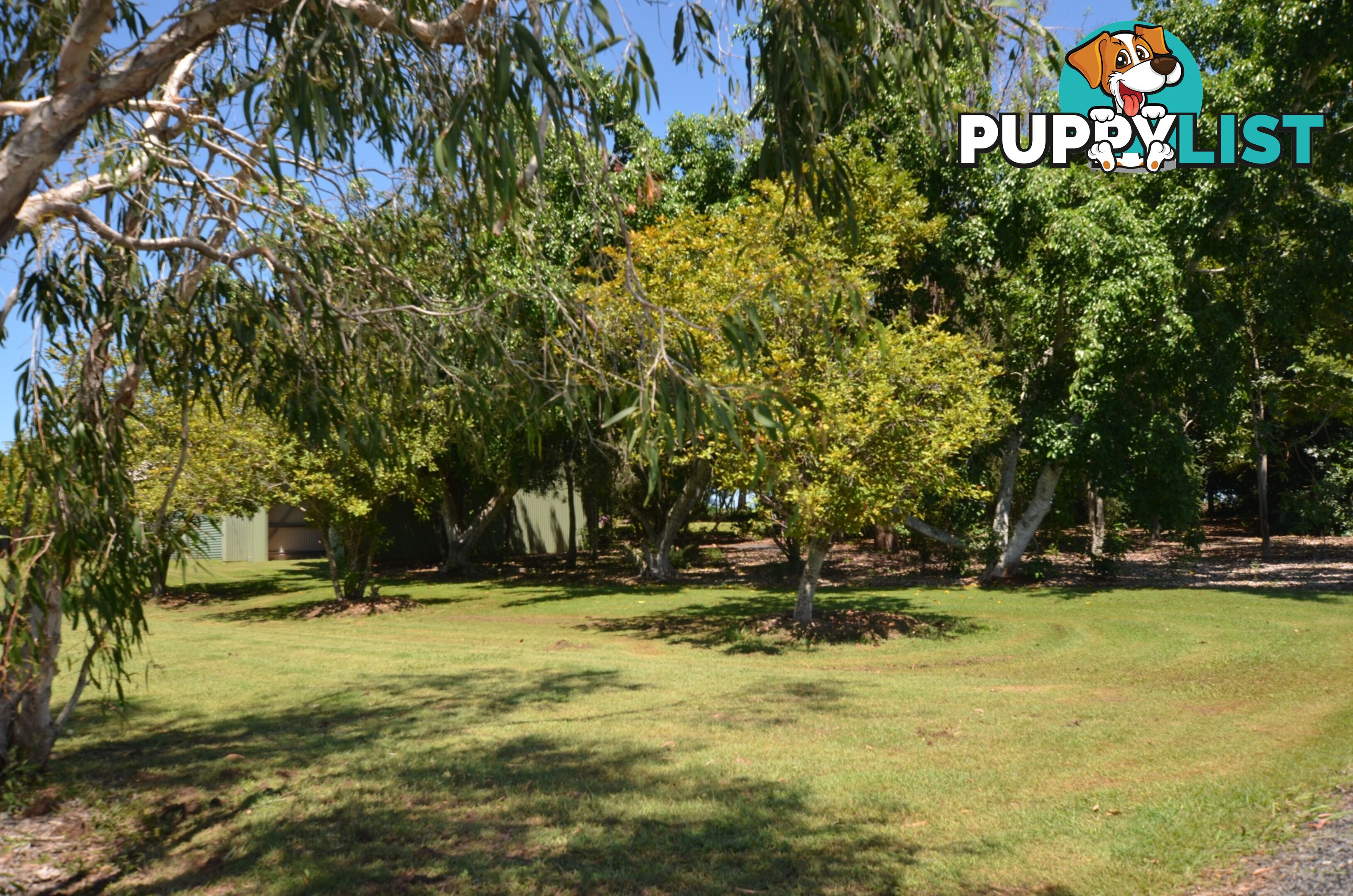 Lot 1 Sauers Road KALKIE QLD 4670