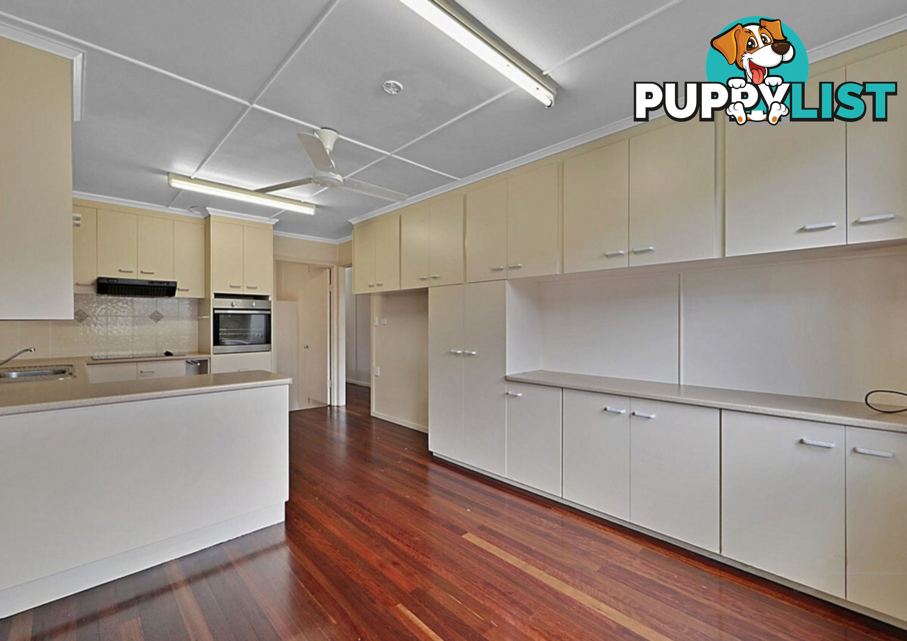 60 Vasey Street AVENELL HEIGHTS QLD 4670
