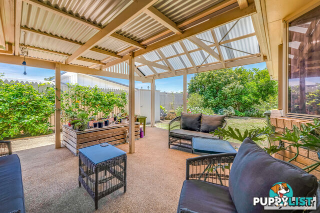 20 Acacia Street MOORE PARK BEACH QLD 4670