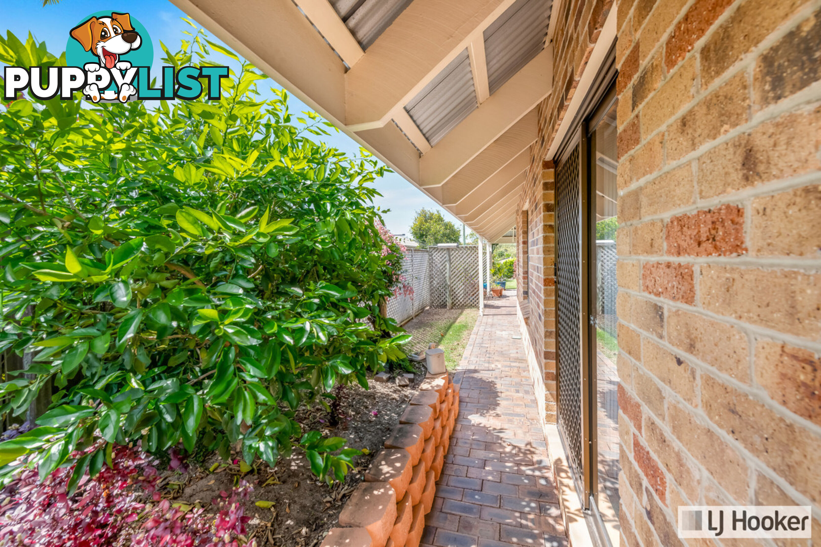 3 Kedge Street SVENSSON HEIGHTS QLD 4670