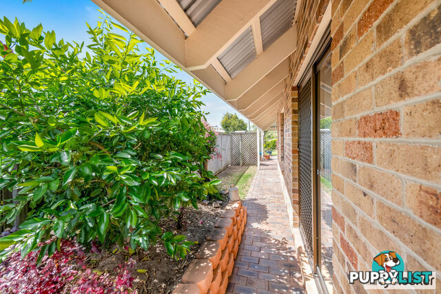 3 Kedge Street SVENSSON HEIGHTS QLD 4670