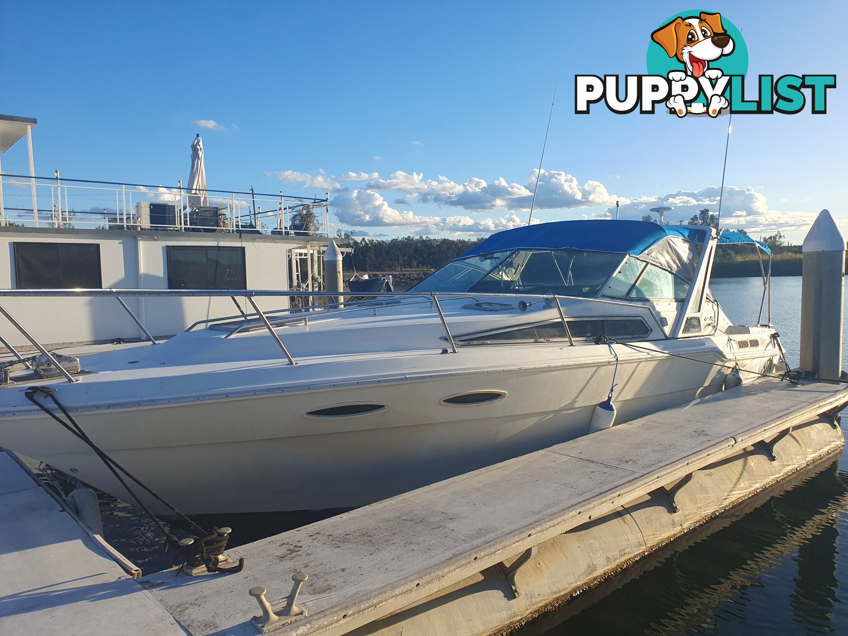 Sea Ray 300 Sundancer 1989 32ft overall
