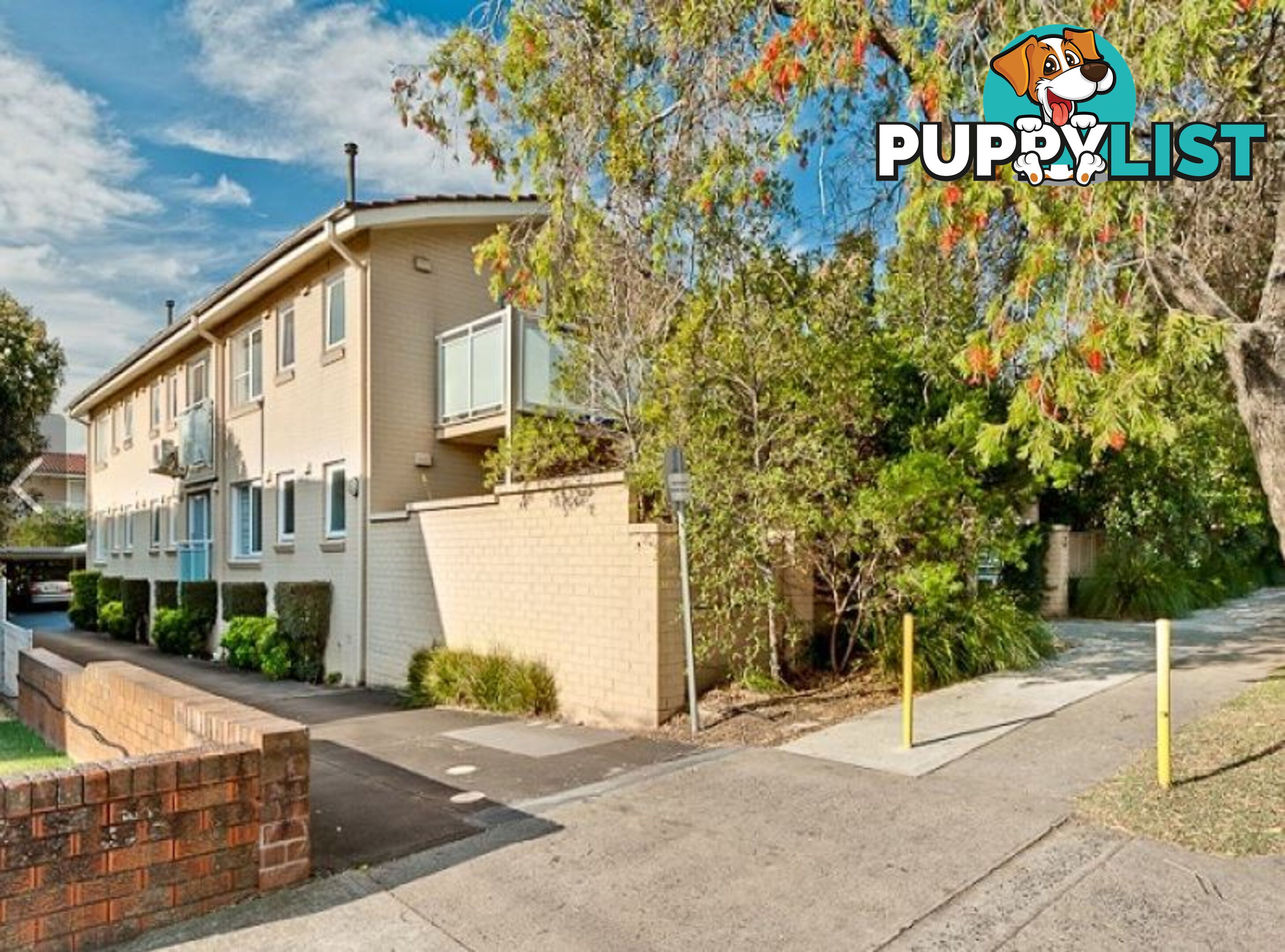 3/43 Burton Street Concord NSW 2137