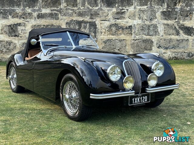 1950 JAGUAR XK   CONVERTIBLE