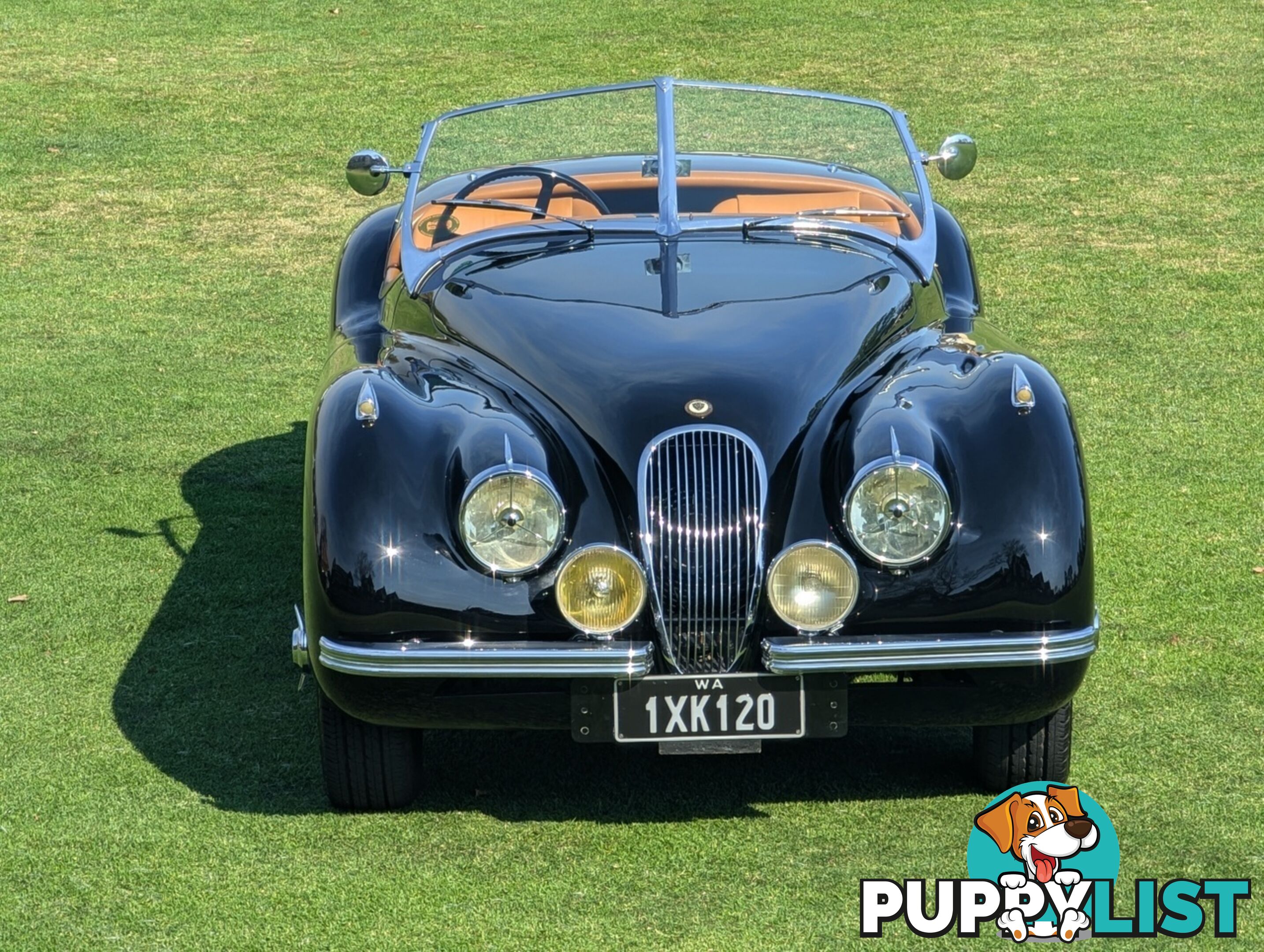 1950 JAGUAR XK   CONVERTIBLE