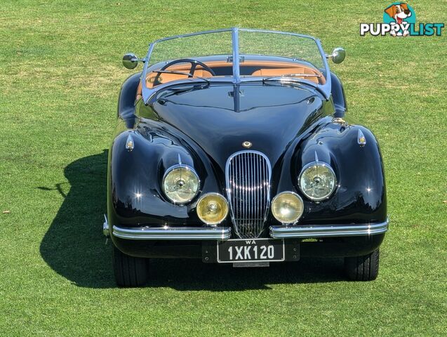 1950 JAGUAR XK   CONVERTIBLE