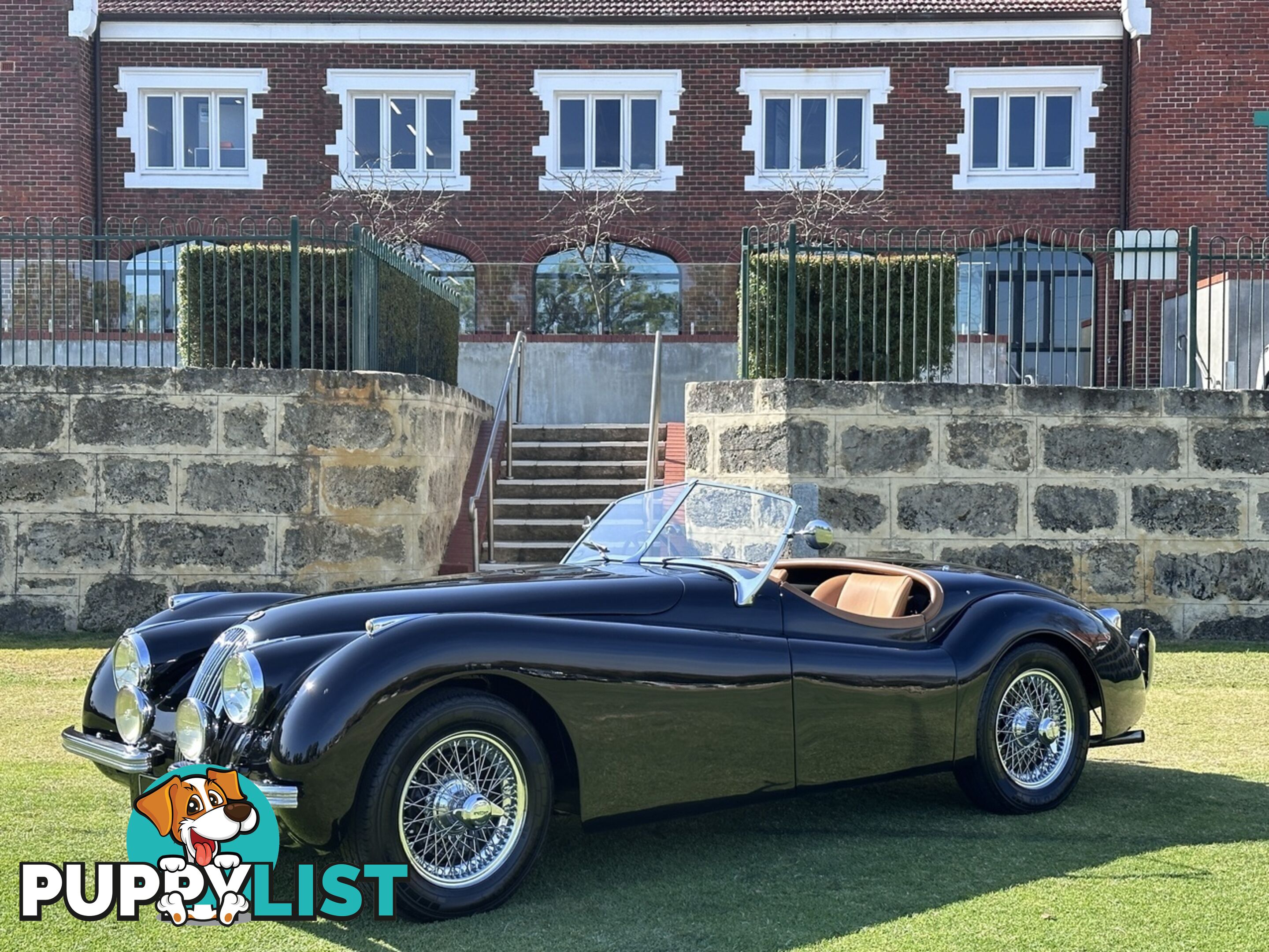 1950 JAGUAR XK   CONVERTIBLE