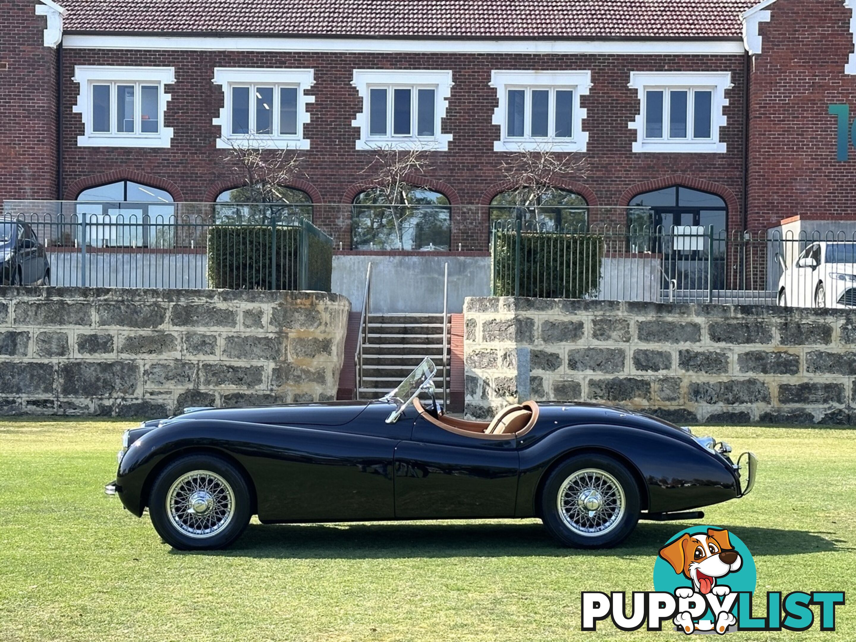 1950 JAGUAR XK   CONVERTIBLE