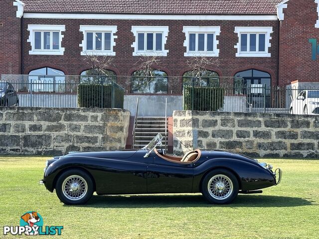 1950 JAGUAR XK   CONVERTIBLE