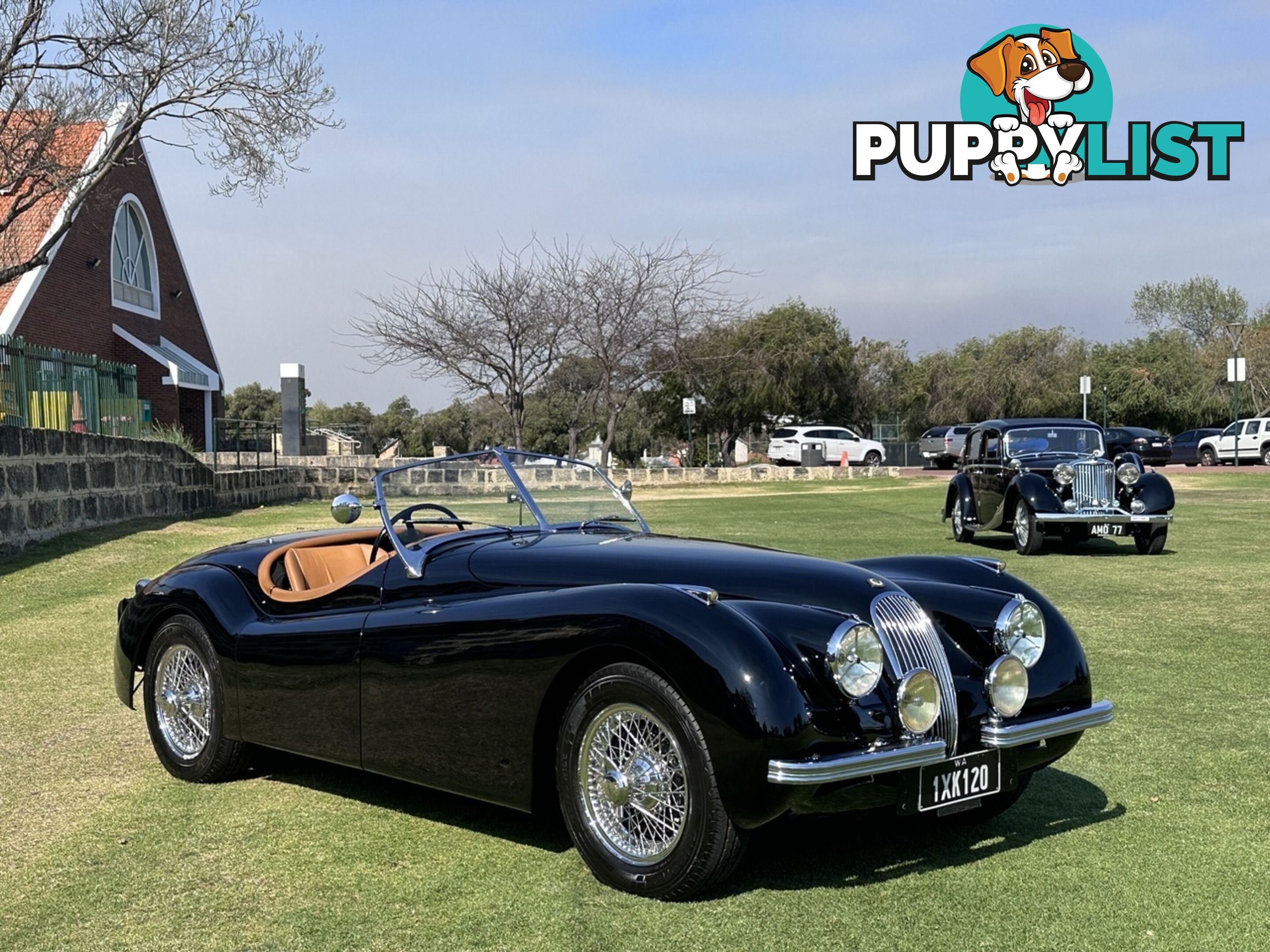 1950 JAGUAR XK   CONVERTIBLE