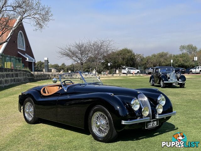 1950 JAGUAR XK   CONVERTIBLE