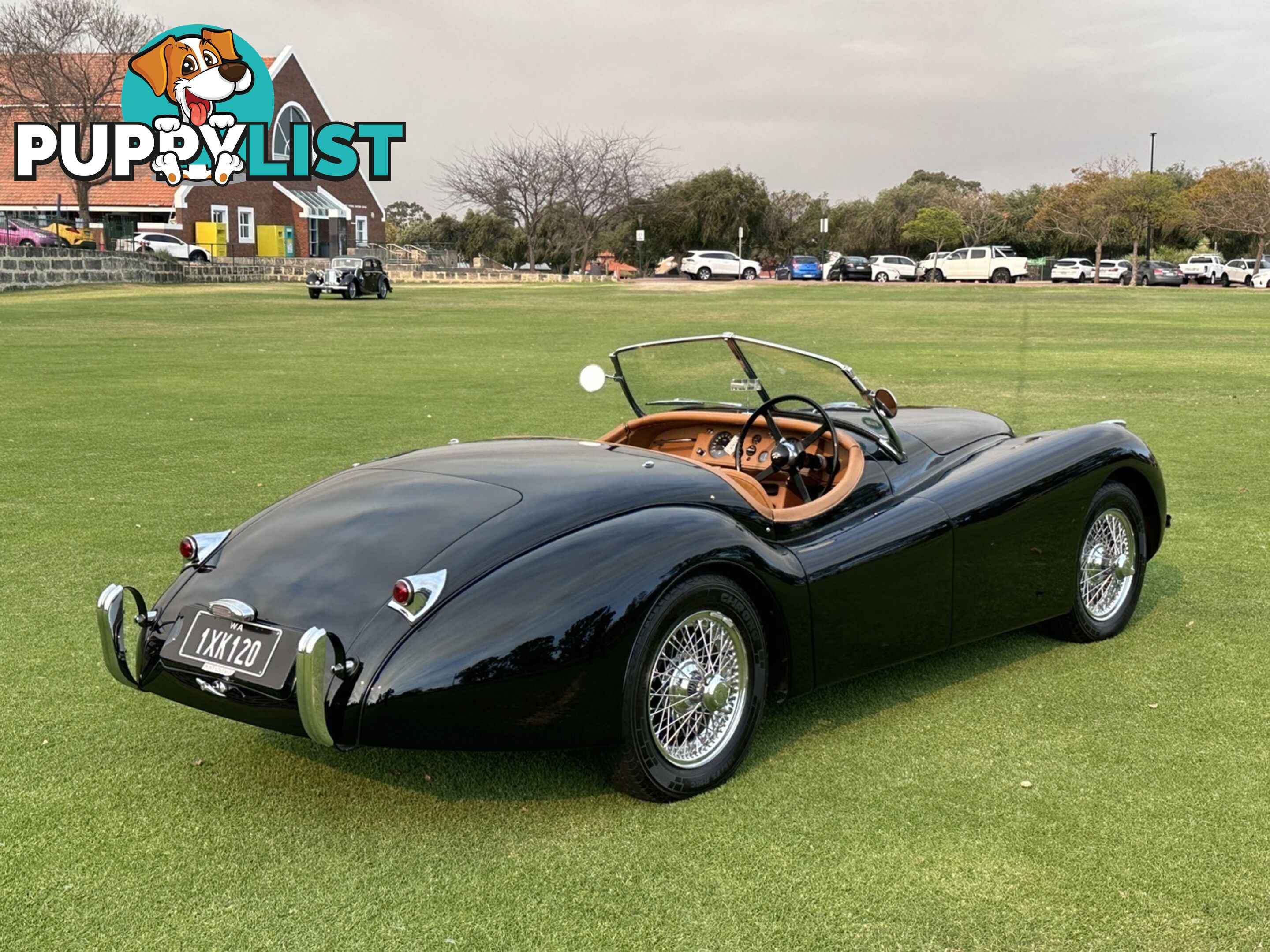 1950 JAGUAR XK   CONVERTIBLE