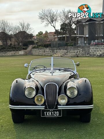 1950 JAGUAR XK   CONVERTIBLE