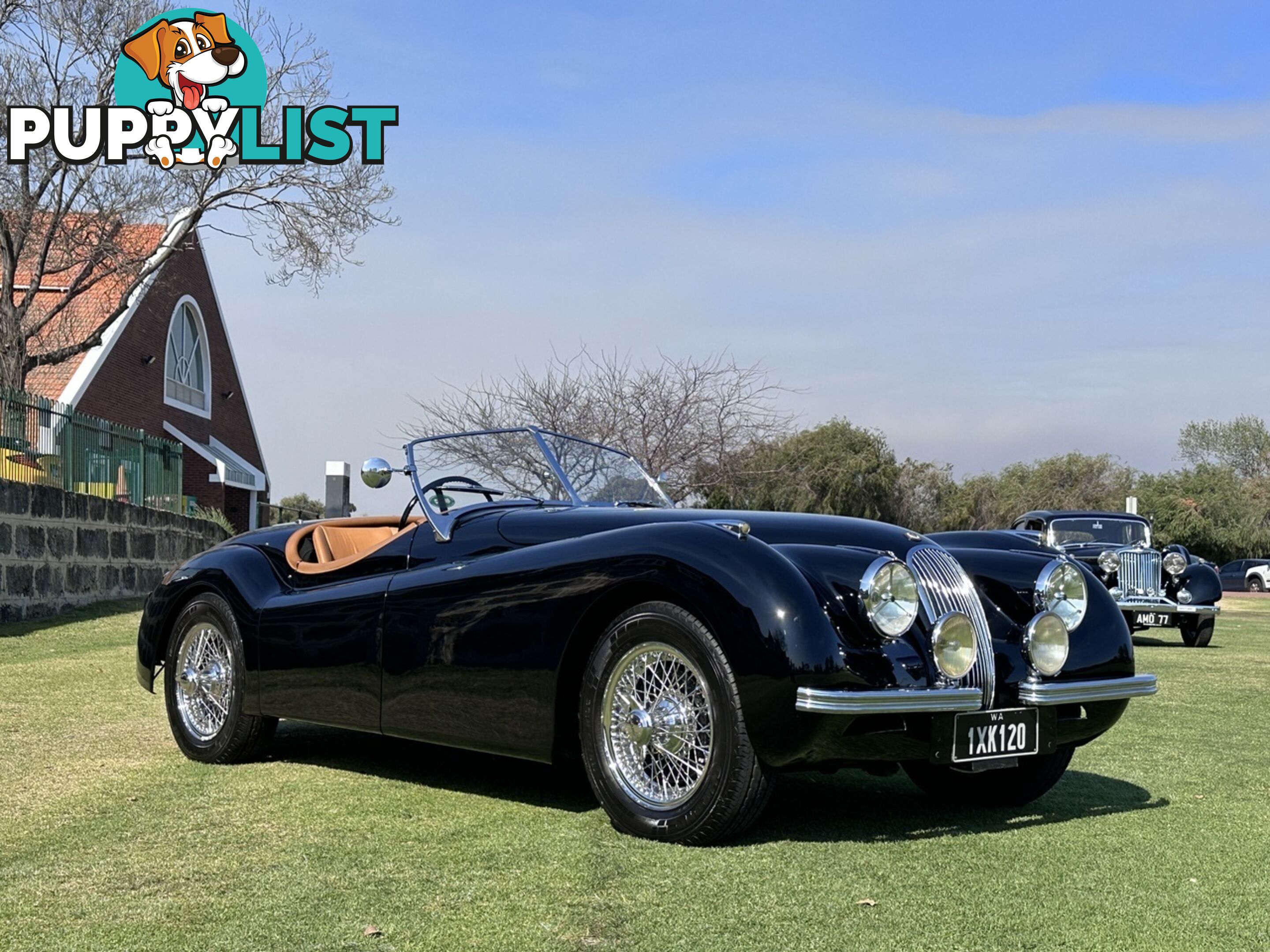 1950 JAGUAR XK   CONVERTIBLE