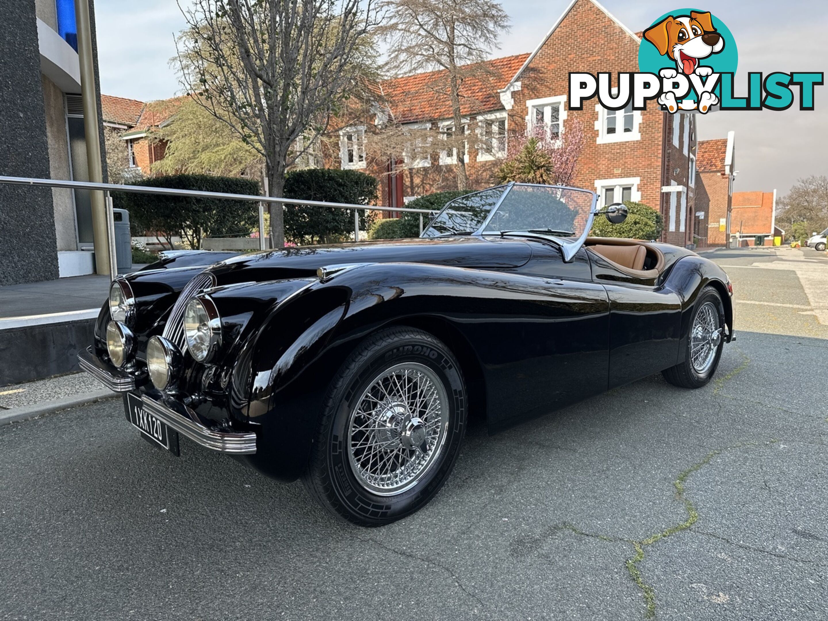 1950 JAGUAR XK   CONVERTIBLE