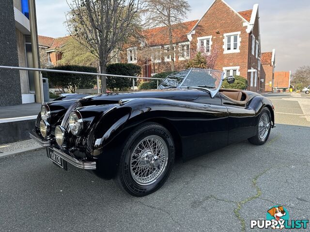 1950 JAGUAR XK   CONVERTIBLE