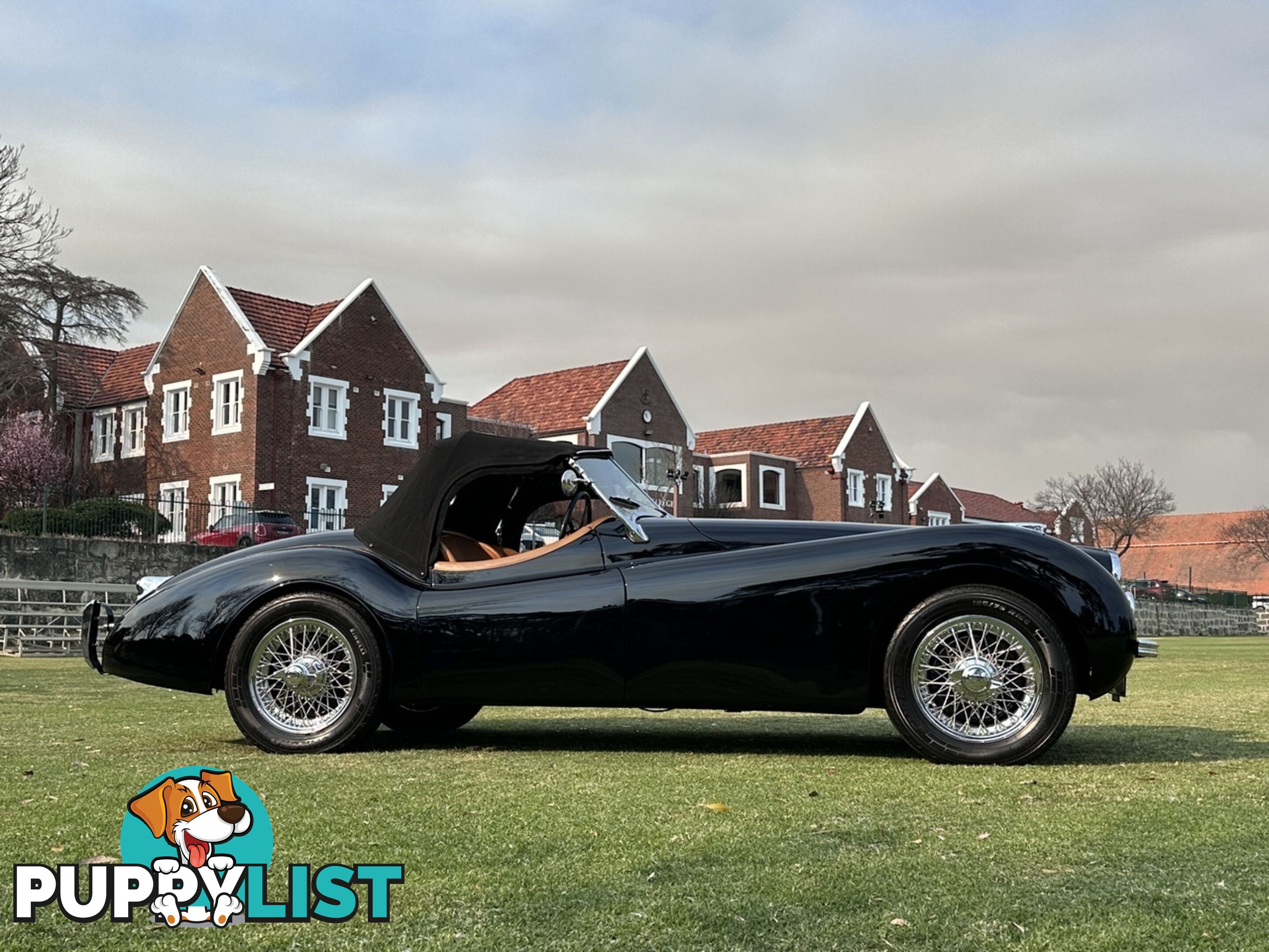 1950 JAGUAR XK   CONVERTIBLE