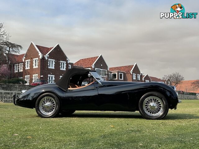 1950 JAGUAR XK   CONVERTIBLE