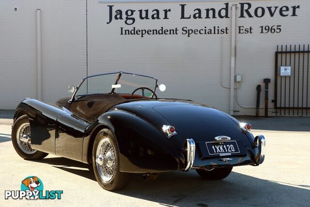 1950 JAGUAR XK   CONVERTIBLE