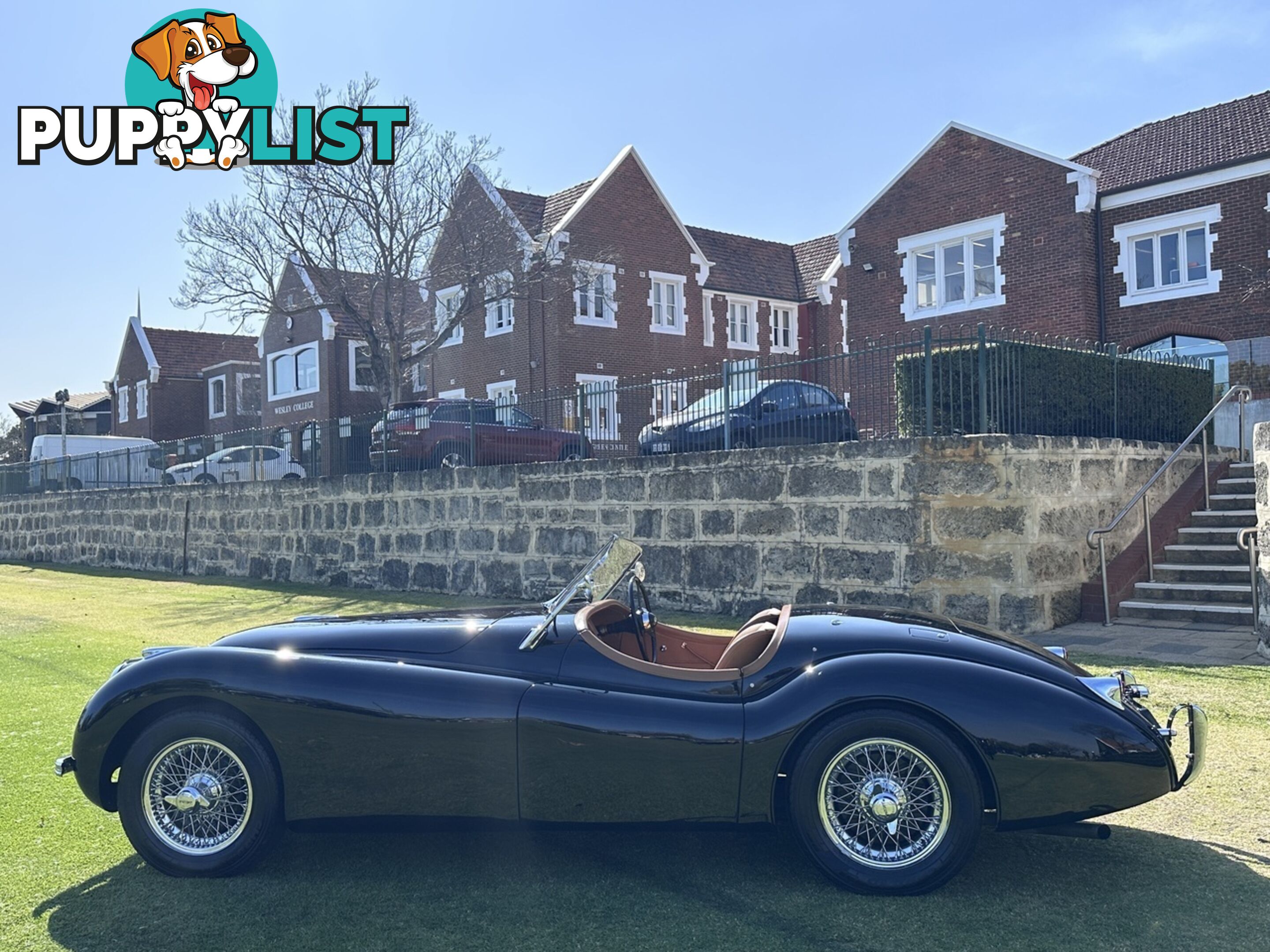 1950 JAGUAR XK   CONVERTIBLE