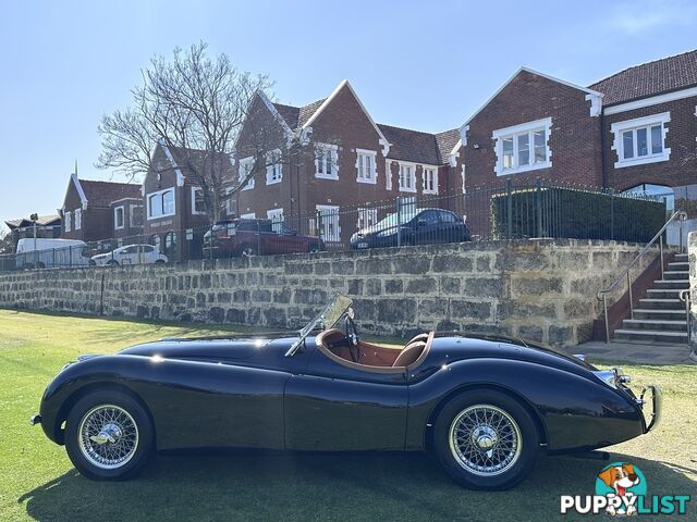 1950 JAGUAR XK   CONVERTIBLE