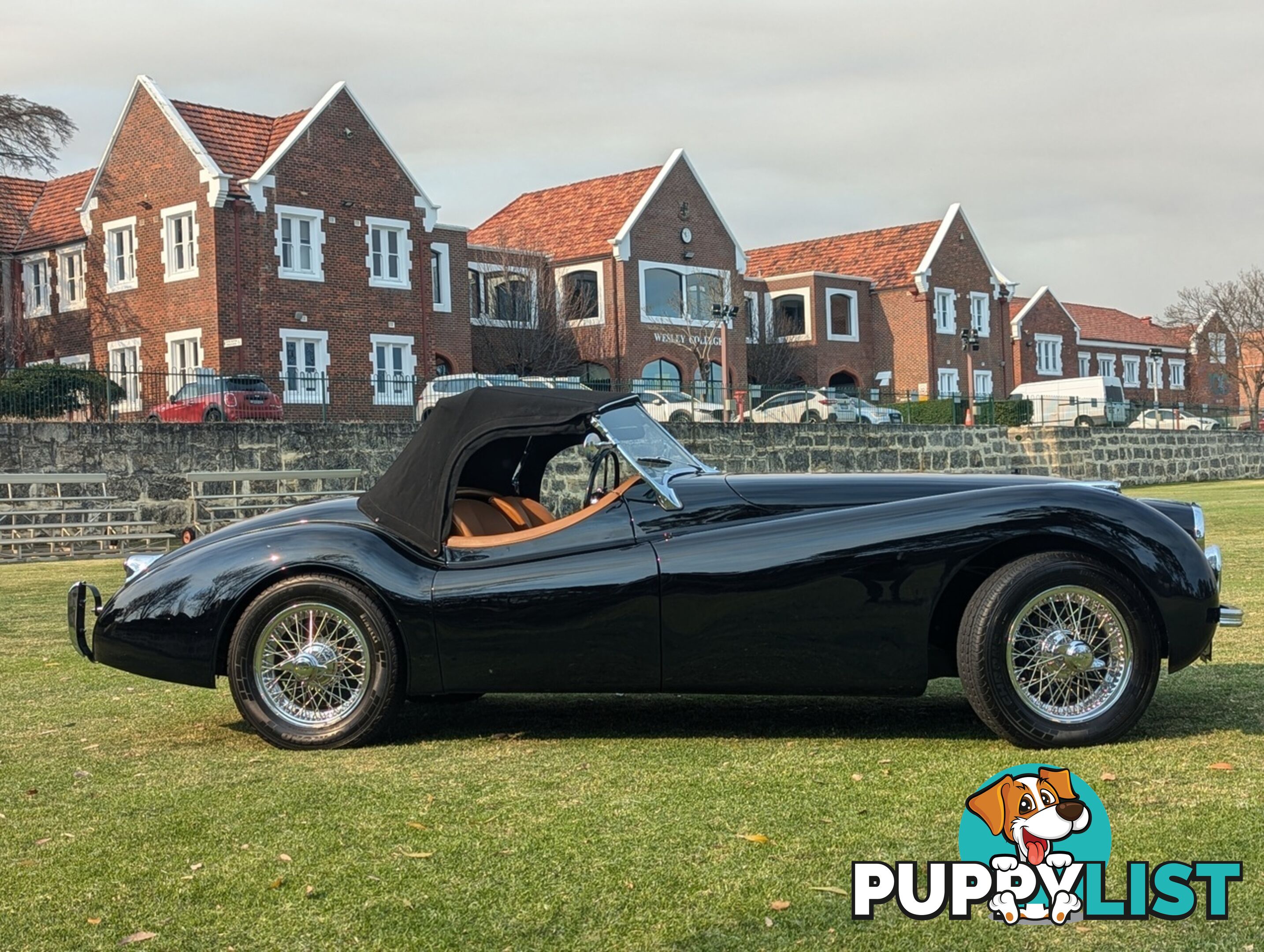 1950 JAGUAR XK   CONVERTIBLE