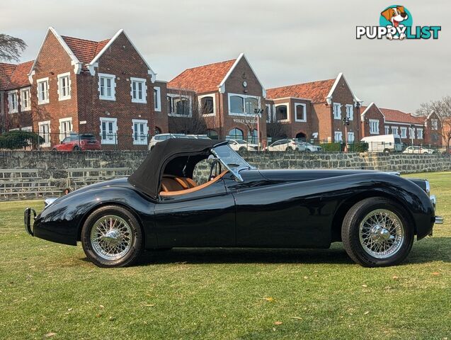 1950 JAGUAR XK   CONVERTIBLE