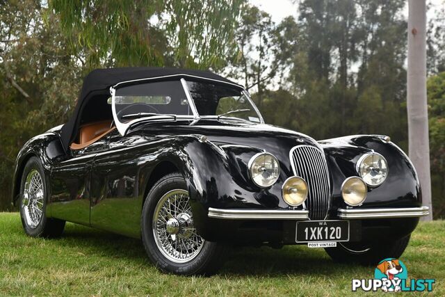 1950 JAGUAR XK   CONVERTIBLE