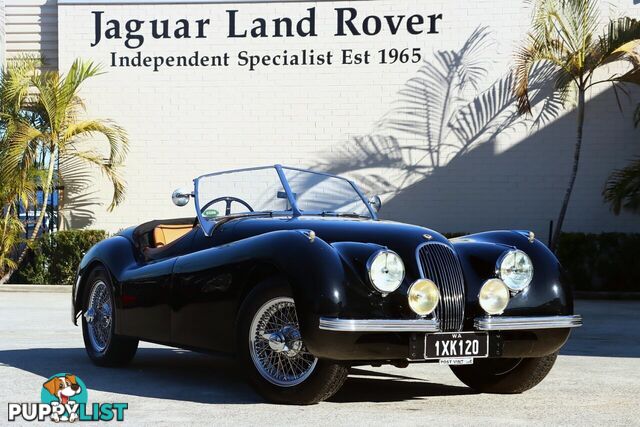 1950 JAGUAR XK   CONVERTIBLE