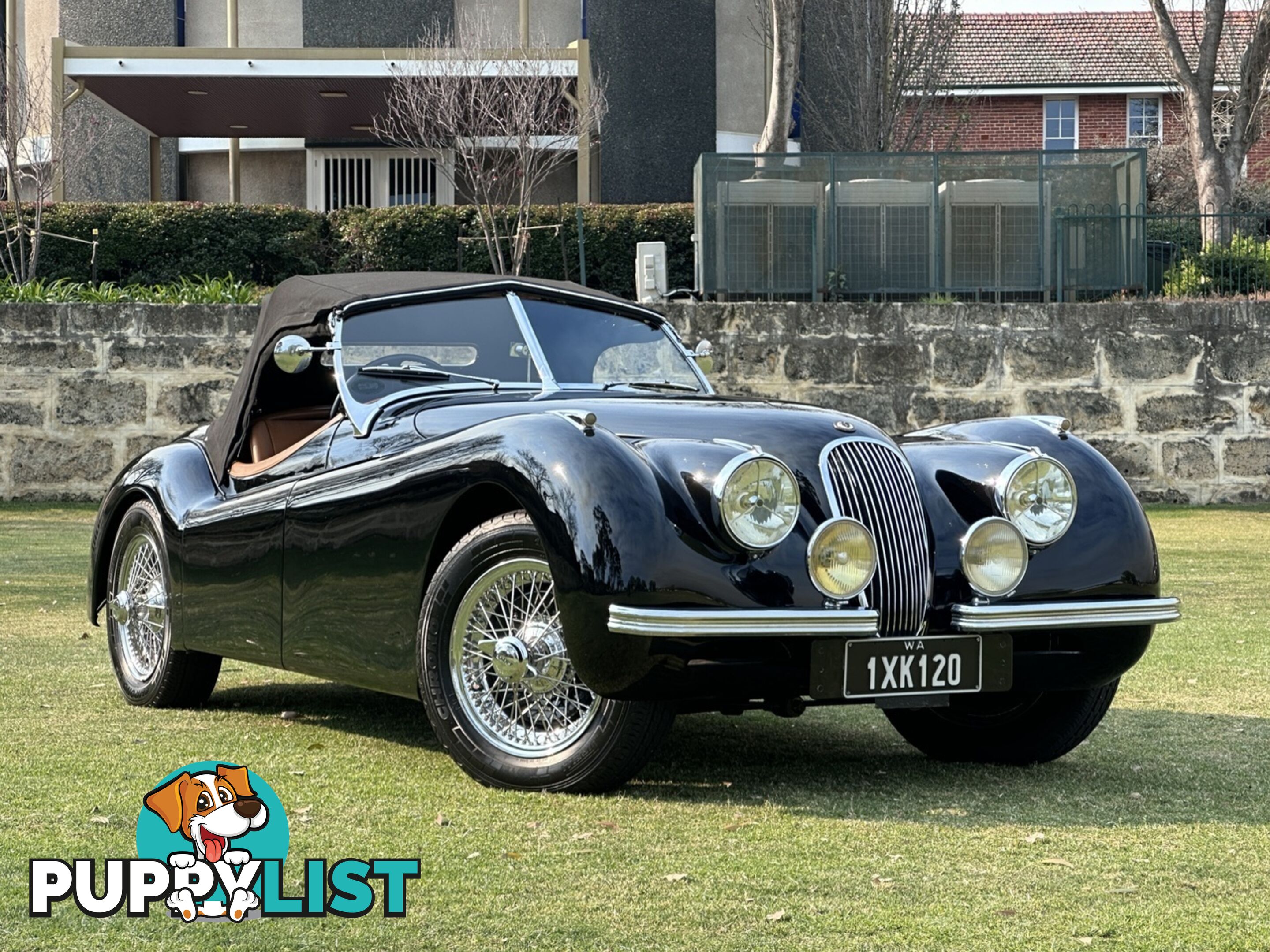 1950 JAGUAR XK   CONVERTIBLE