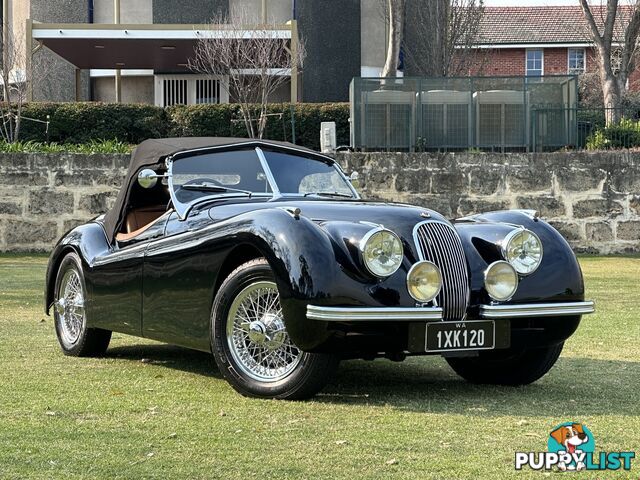 1950 JAGUAR XK   CONVERTIBLE