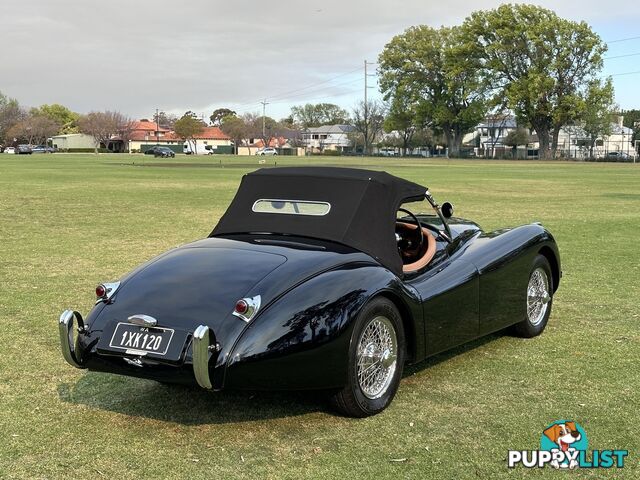 1950 JAGUAR XK   CONVERTIBLE